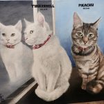 cats